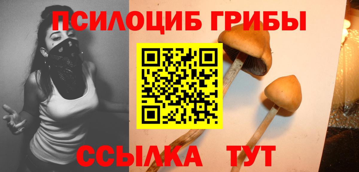 Галлюциногенные грибы MAGIC MUSHROOMS Печора
